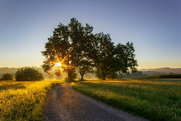Photo by Jan Huber on Unsplash